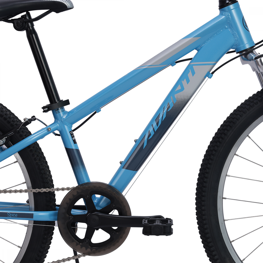 Blue 24 best sale inch bike