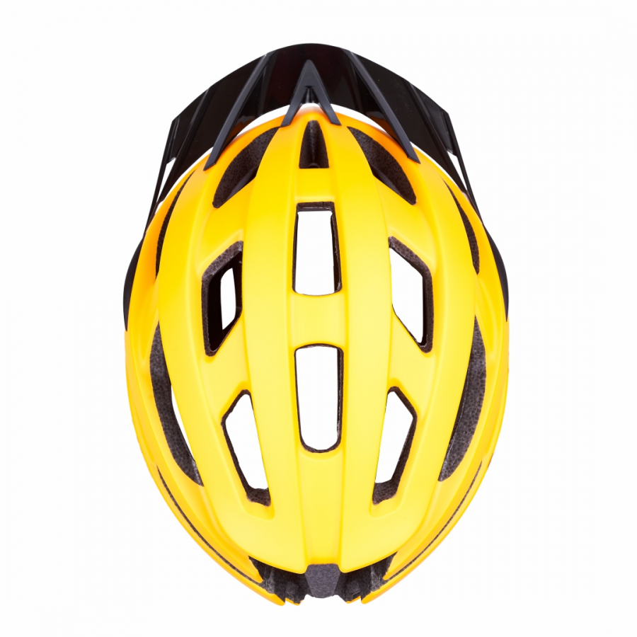 Pro best sale bicycle helmets