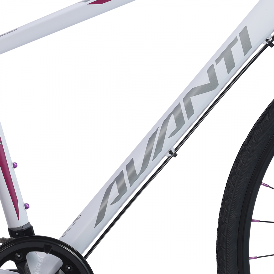 Avanti 2024 womens bike