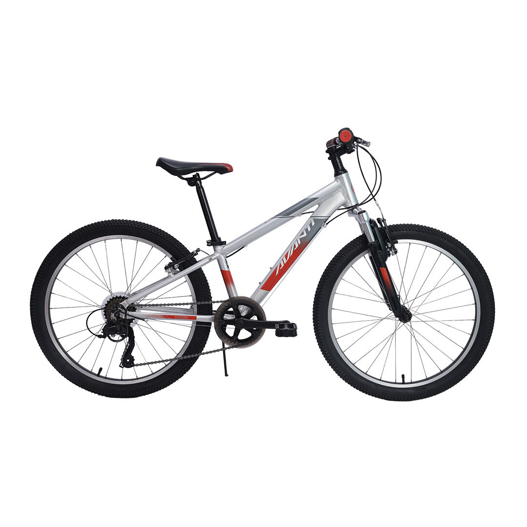 AVANTI SHADOW 24 POLISHED KIDS BIKE